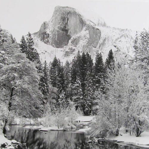 Black and white photography of a mountain with snow covered trees.